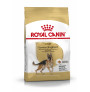 Royal canin pastor alemán adult