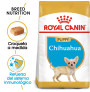 Royal canin chihuahua junior