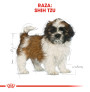 Royal canin shih tzu junior