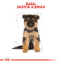 Royal canin pastor alemán junior