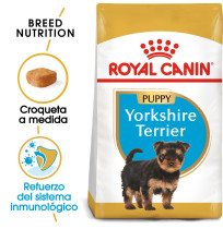 Royal canin yorkshire puppy