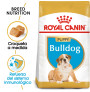 Royal canin bulldog junior