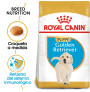 Royal canin golden junior para perros
