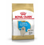 Royal canin golden junior para perros