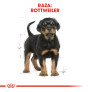 Royal canin rottweiler junior