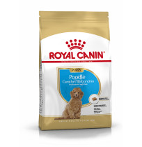 Royal canin caniche puppy