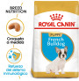 Royal canin bulldog francés junior