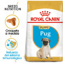 Royal canin carlino junior