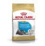Royal canin schnauzer junior