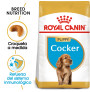 Royal canin cocker junior