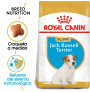 Royal canin jack russell junior