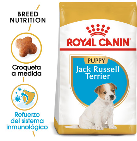 Royal canin jack russell junior
