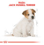 Royal canin jack russell junior