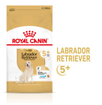 Royal canin labrador retriever adult 5+