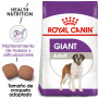 Royal canin giant adult para perros