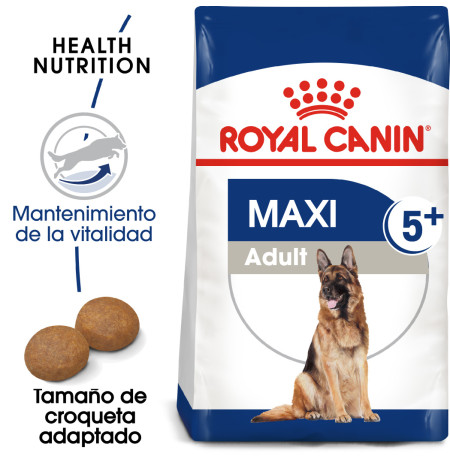 Royal canin maxi adult +5 para perros