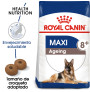 Royal canin maxi ageing +8 para perros