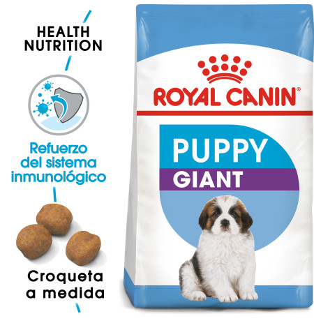 Royal canin giant puppy para cachorros