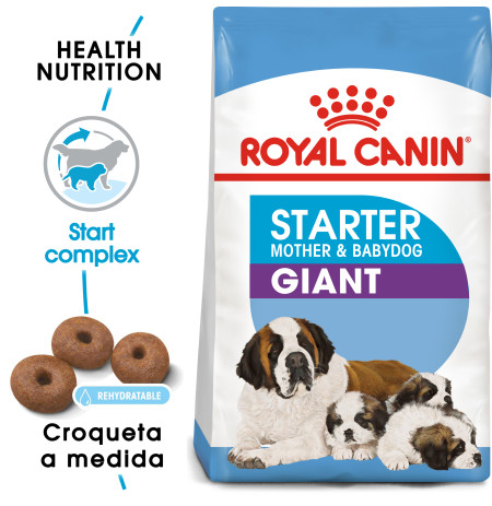 Royal canin giant starter para cachorros y madres