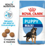 Royal canin maxi puppy para cachorros