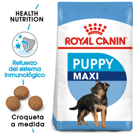 Royal canin maxi puppy para cachorros