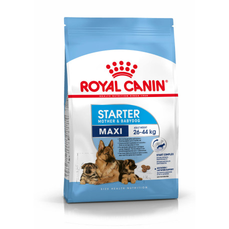 Royal canin maxi starter para cachorros y madres