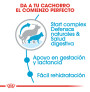 Royal canin maxi starter para cachorros y madres