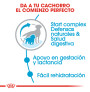 Royal canin medium starter para cachorros y madres
