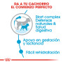 Royal canin mini starter para cachorros y madres