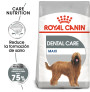 Royal canin maxi dental care para perros
