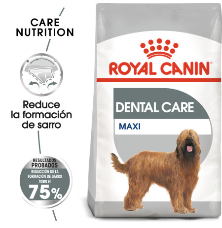 Royal canin maxi dental care para perros