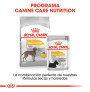 Royal canin maxi dermacomfort para perros
