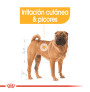 Royal canin medium dermacomfort para perros