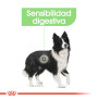Royal canin medium digestive care para perros