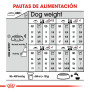 Royal canin mini digestive care para perros