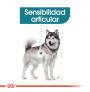 Royal canin maxi joint care para perros