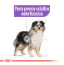 Royal canin medium sterilised para perros esterilizados