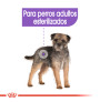 Royal canin mini sterilised para perros esterilizados