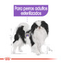 Royal canin x-small adult sterilised para perros esterilizados