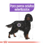 Royal canin maxi sterilised para perros esterilizados