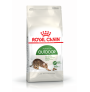 Royal canin outdoor para gatos