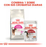 Royal canin exigent aromatic attraction para gatos