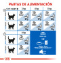 Royal canin indoor +7 para gatos
