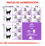 Royal canin sterilised +7 para gatos