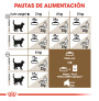 Royal canin ageing +12 para gatos