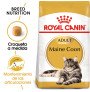 Royal canin maine coon
