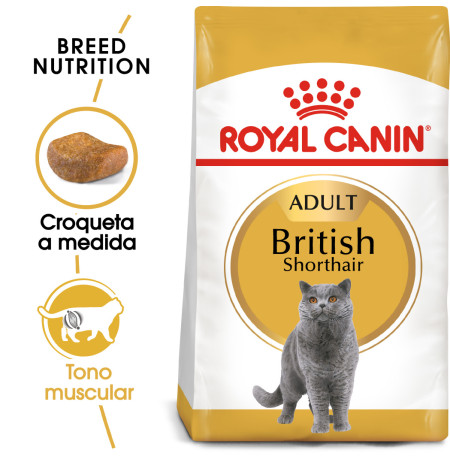 Royal canin british shorthair