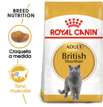 Royal canin british shorthair