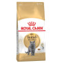 Royal canin british shorthair