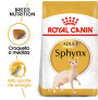 Royal canin sphynx